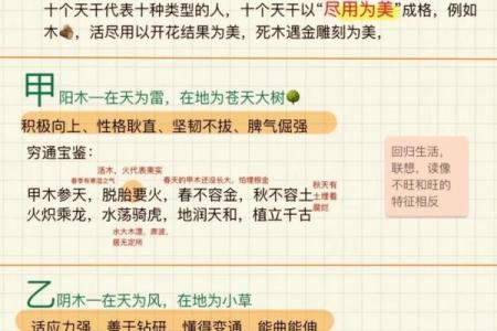 戌土男命：隐秘中的坚韧与智慧，探索命理之美