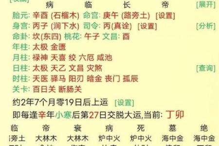 女命地支酉金的奥秘:从命理看女性的魅力与智慧