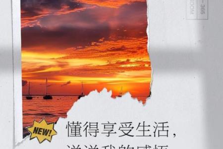 用心品味,满命满精神:选对杯子,享受生活的每一刻