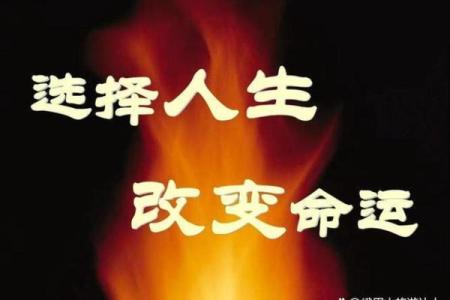 男孩命运的奥秘:9个螺与人生选择的联系