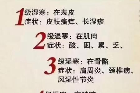 女命八字湿寒的深层解析：怎样调和命理中的阴寒之气？
