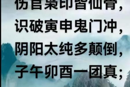 解密命格枭鸟：它的含义与命理影响