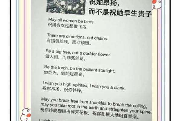 女人的力量：探讨她们如猫般的生命力与韧性