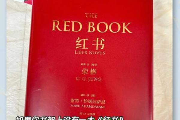 探索命理学：书籍推荐与智慧启示之旅