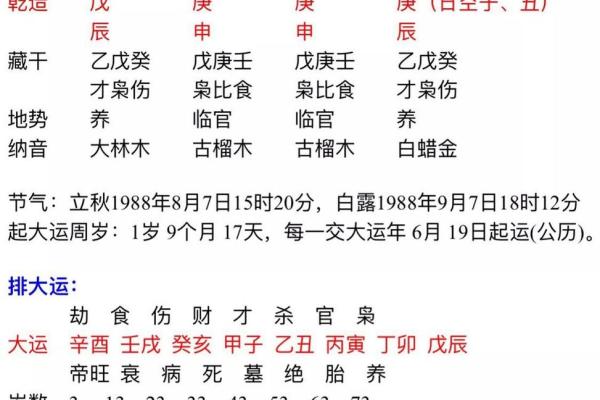 探讨八字命理：以“日主”核心解析命局深意