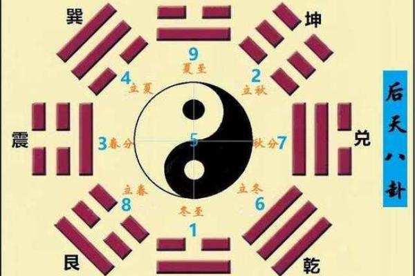 探索坤艮山的神秘传说：合仙命的奇妙旅程