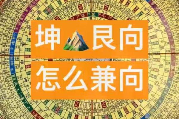 探索坤艮山的神秘传说：合仙命的奇妙旅程