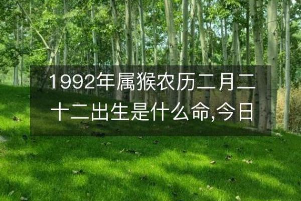 1990年农历命理揭秘：你的命运与生肖的神秘联系
