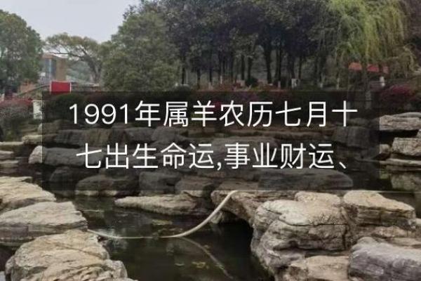 1991年属羊人的命运解析：财运、事业与感情之路
