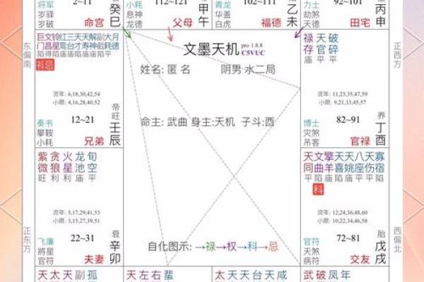 揭开命理之谜：男命中的印与官究竟意味着什么？