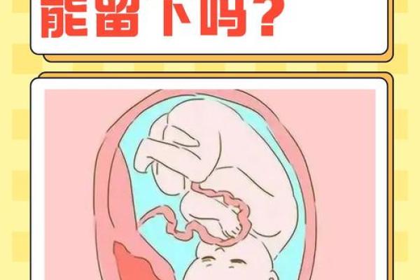 女人屁股下有胎的命运解析与生活智慧