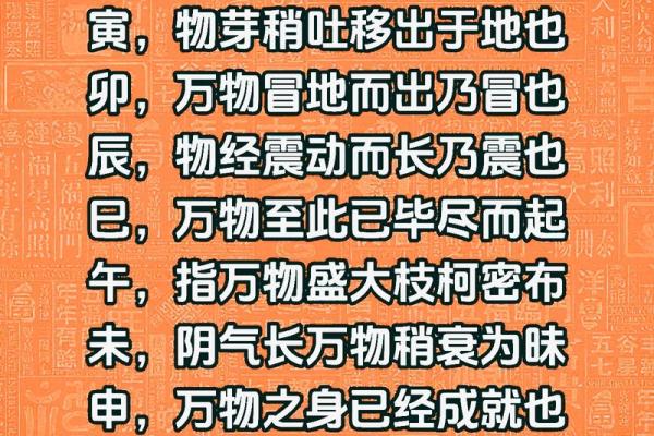 探索戌土的生命之义：揭开男命地支的神秘面纱