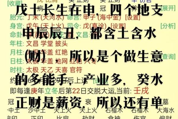 探索戌土的生命之义：揭开男命地支的神秘面纱