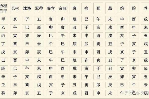 女命日支月支相害的深刻解读与人生启示