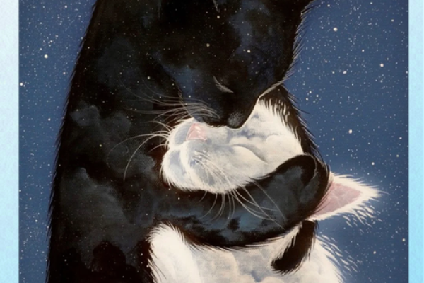 探索九条命里的猫：神秘与传奇的交织