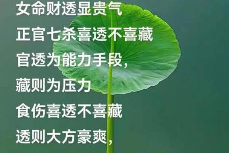 命理中的十一位贵人：为你指引人生的方向与机遇