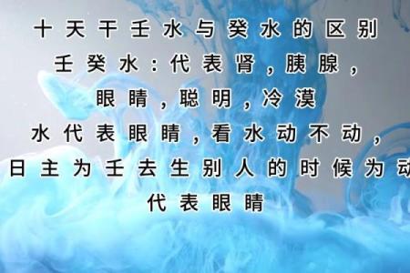 探究女命天干癸水的深刻意义与人生启示