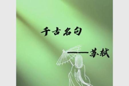 命运的奔腾：成语接龙带你探索人生的智慧与哲理