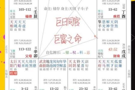 通过命盘解析人生命格，揭示你的命运之路！