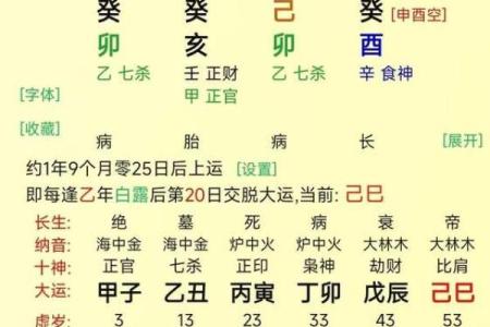 重探1991年猪年：五行命格与人生哲学的深度解析