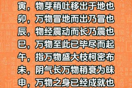 探索戌土的生命之义:揭开男命地支的神秘面纱
