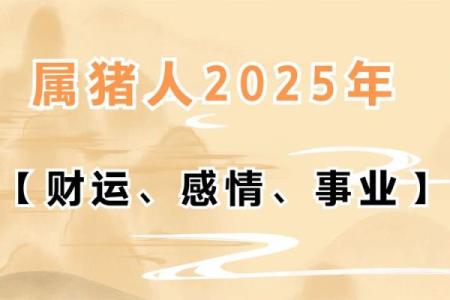 1995年属猪的命运解析：细数金猪的福气与人生智慧