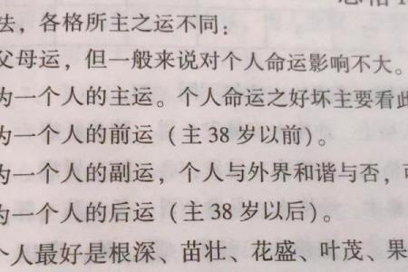 1996年出生的人命理与五行探讨：揭示命运的秘密与人生的智慧