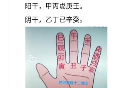 女命日支月支相害的深刻解读与人生启示