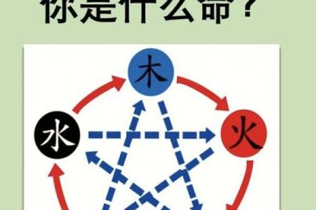 探索美国五行命格与个性发展的奥秘