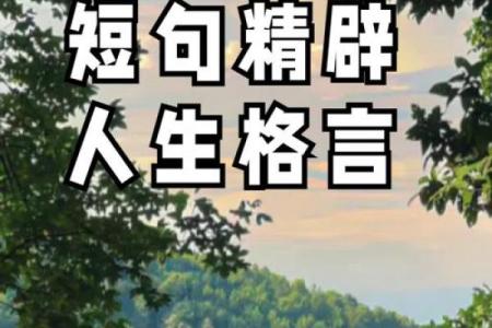 女命无官的深意与人生启示