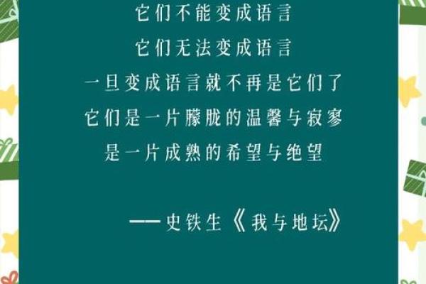 当命运已无，何必再谈爱与失？探寻生命的哲学与意义