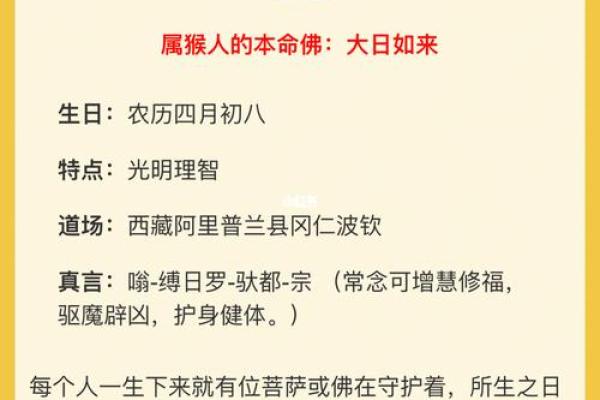 1996年七月十五的命运解读：探索命理背后的秘密