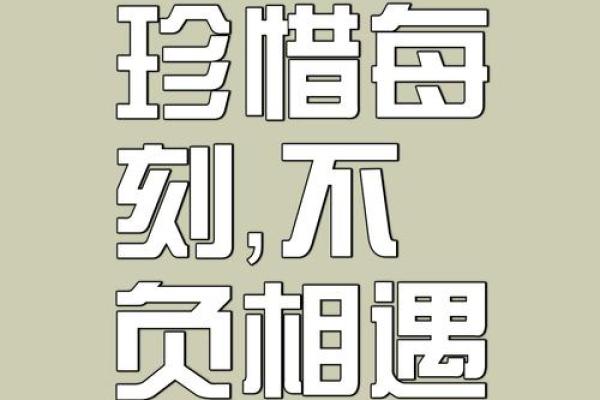 走过命运的十字路口——揭示两年一命的深意与启示