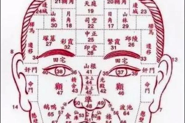 探索命理：克父母与克兄弟的命局分析
