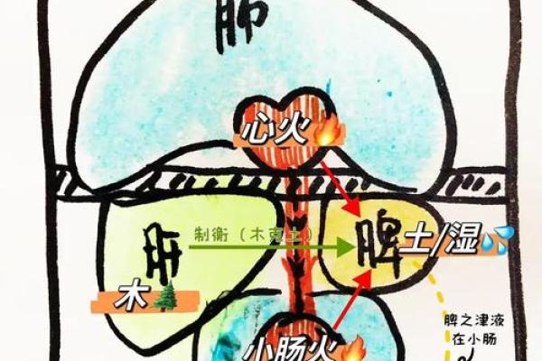 解密九阳命格：探寻个体命运与性格的奥秘