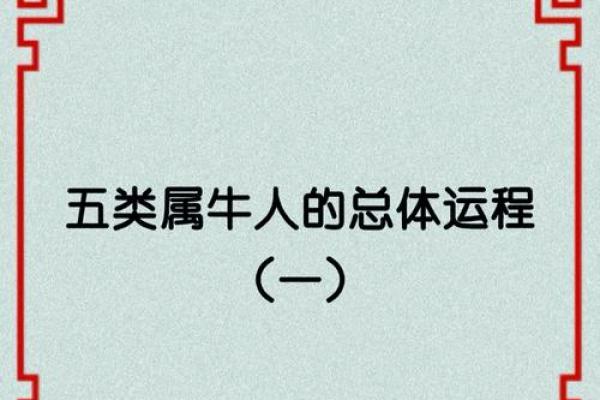 九七年的属牛人：命运与个性深度解析