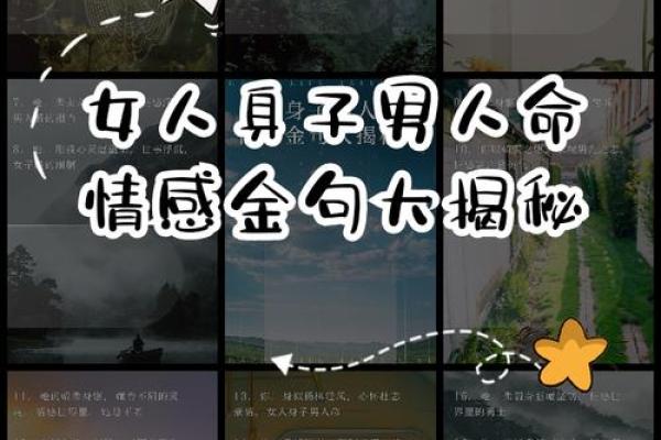 女命带动男命的深刻含义与影响探讨