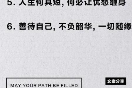 命也是缘，缘也是命——探寻生命中的际遇与选择