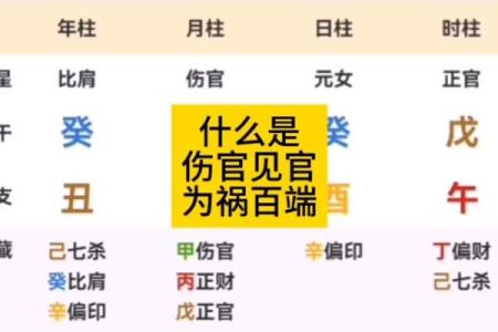 男命天元伤官解析:解读命理中的伤官之秘