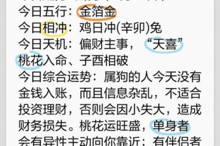 揭开1994年出生的狗宝宝的命运之谜！揭秘生肖狗的独特运势！