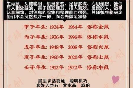 2024年生肖鼠：探索2020年属鼠人的命运与未来展望