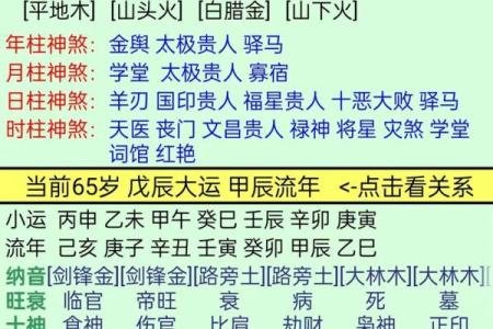 探索八字命理:辛西庚寅男命的深层含义与人生解读