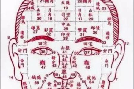 探索命理:克父母与克兄弟的命局分析