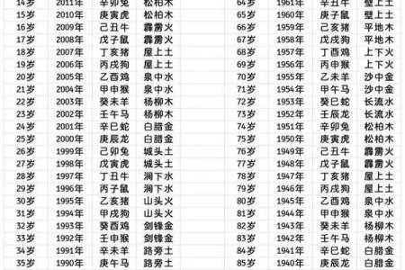 探索零零年十二月九日出生者的命运与性格特征