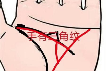 命局财格高的意义与启示：探寻财运背后的深层次哲学