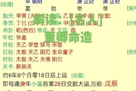 揭秘九七年二月十九日的命理奥秘与人生启示