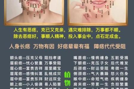 揭秘男人胸口正中有痣的命运与未来