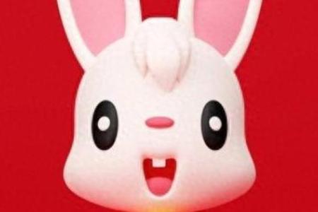 揭开命运之谜：夜猫子与生肖的奇妙关联