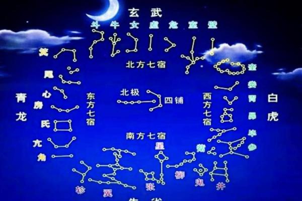 揭秘男命白虎守妻的深层意义与传统文化解读