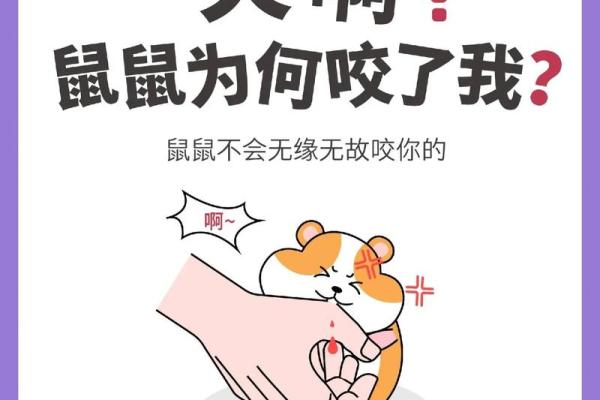 揭秘六月鼠：为何被视为八败命的化身